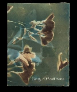 Book cover, a van dyke brown print of flowers